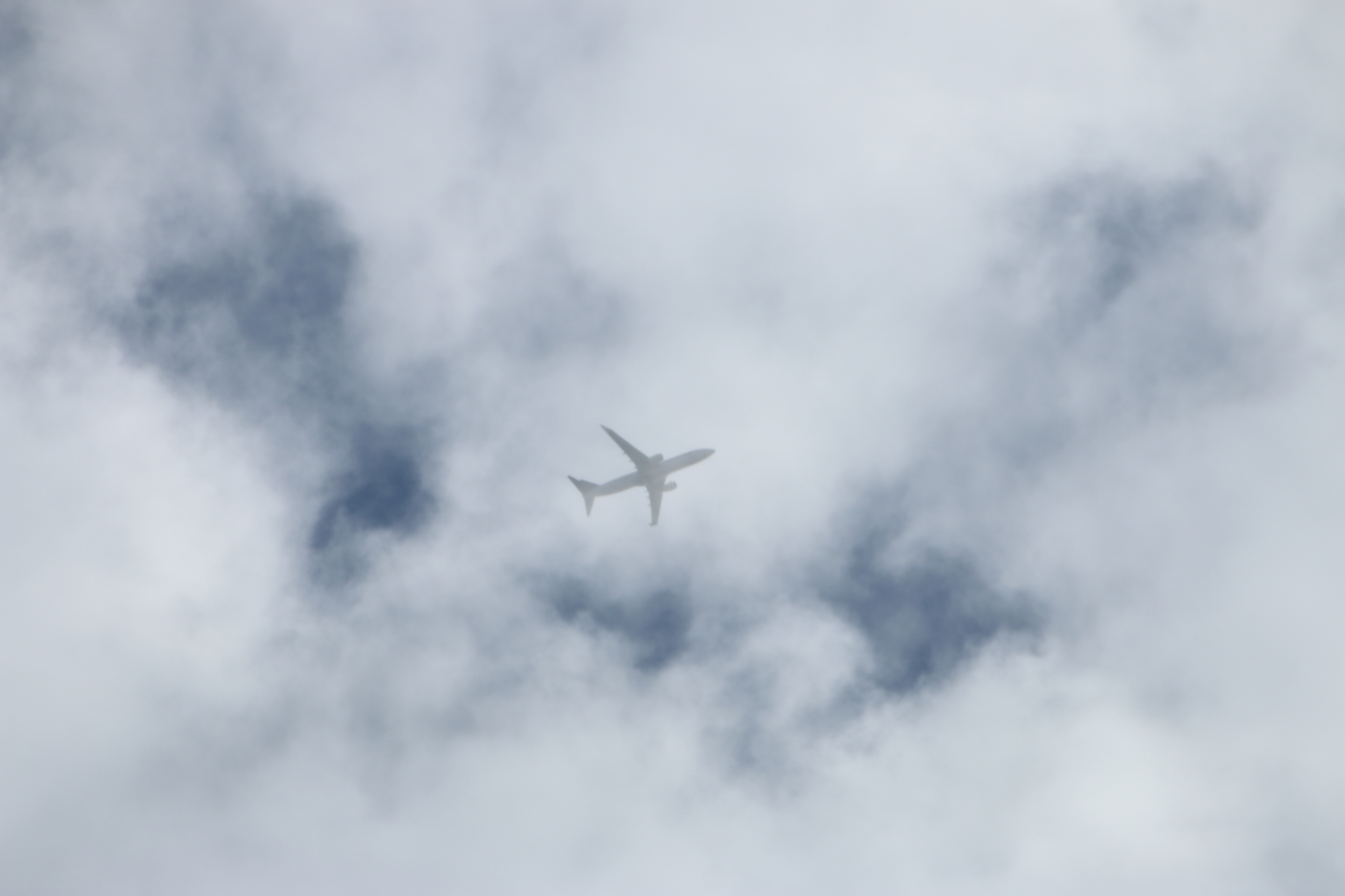 20190506雲と飛行機00000411