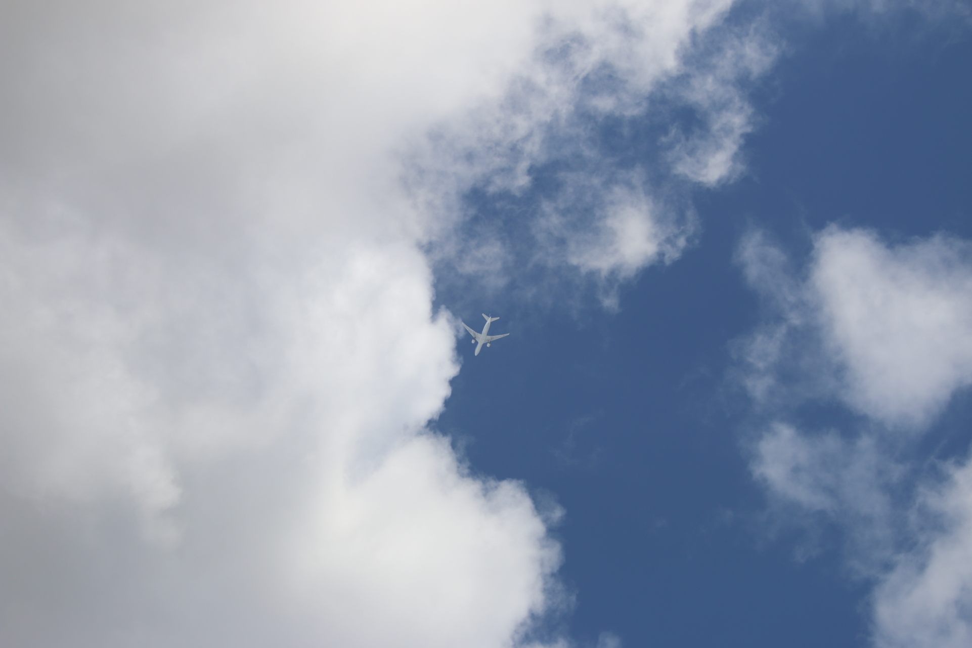 飛行機と雲