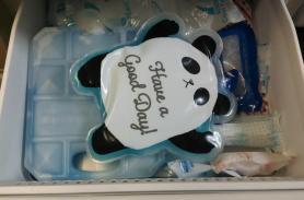 冷凍庫の中のパンダ保冷剤