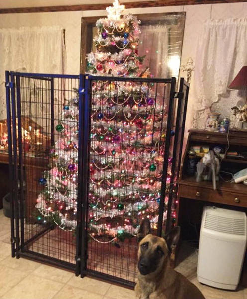 猫や犬がいる家のクリスマスツリーの画像（9枚目）
