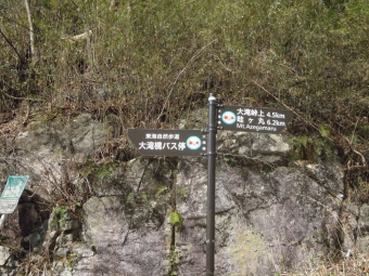 西丹沢ビジターセンターへの途中の大滝橋から林道へ入る