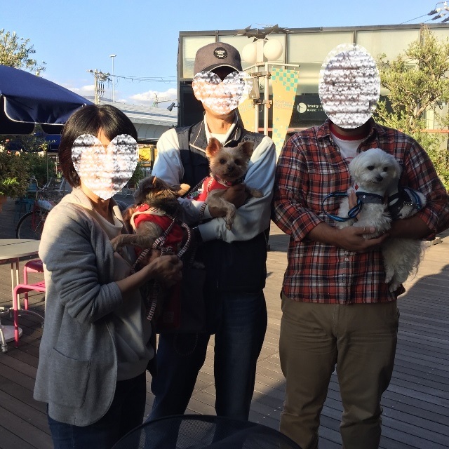 旅行先から神戸サザンモールへ ガーディアンさん主催保護犬・保護猫譲渡会へ11