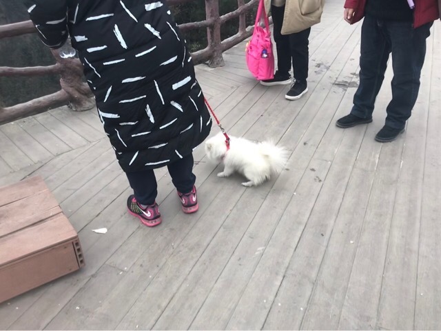 20190125111036c7a.jpeg