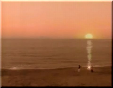 季節はずれの海岸物語 涙の最終回スペシャル ～いつも海があった～ (1994)