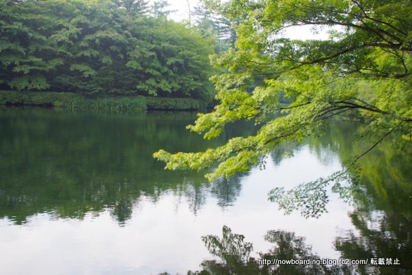 軽井沢サイクリーングコース　雲場池