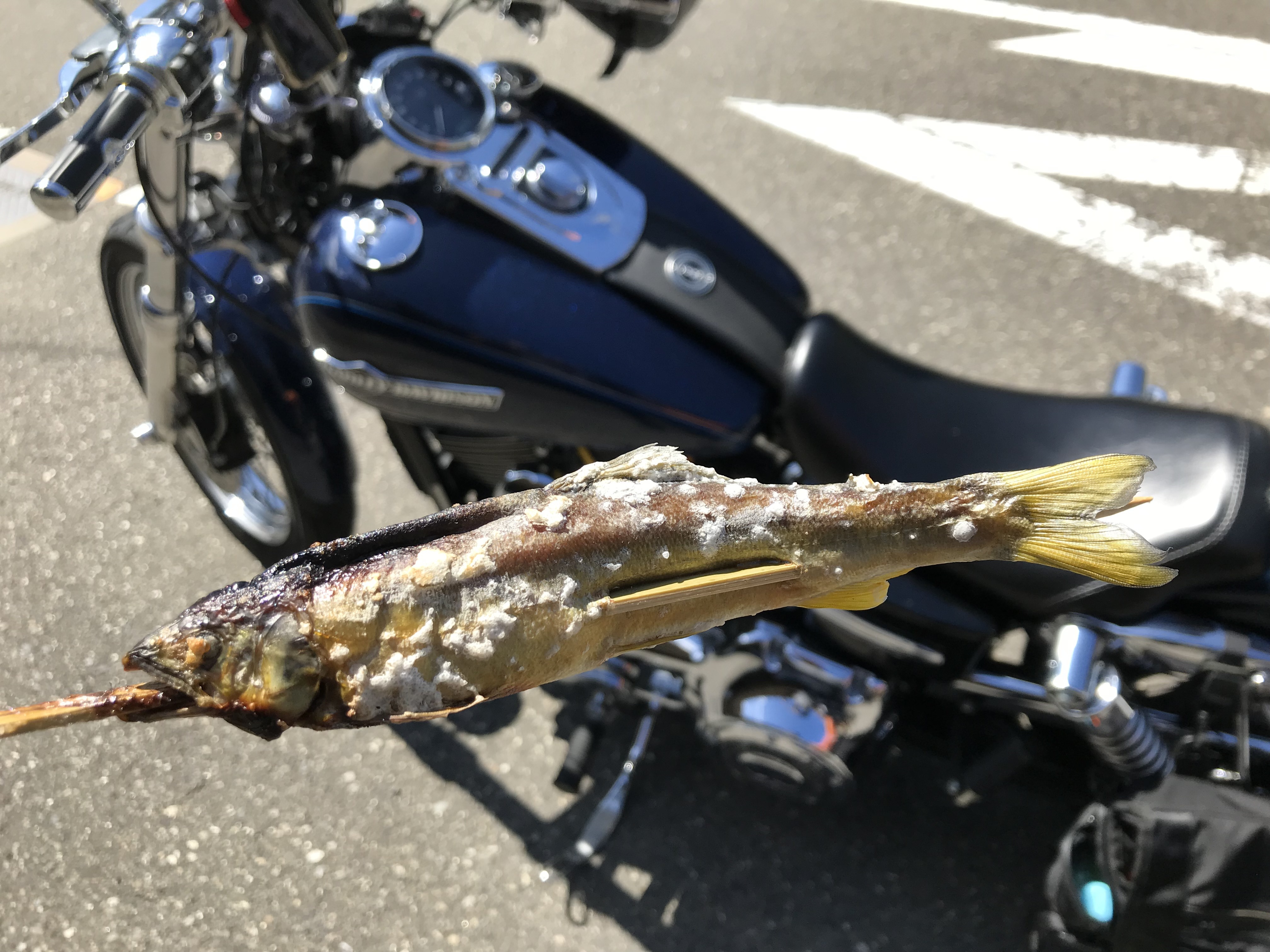 motorcycle-touring-totsukawamura-ayu-grilled-salt.jpg