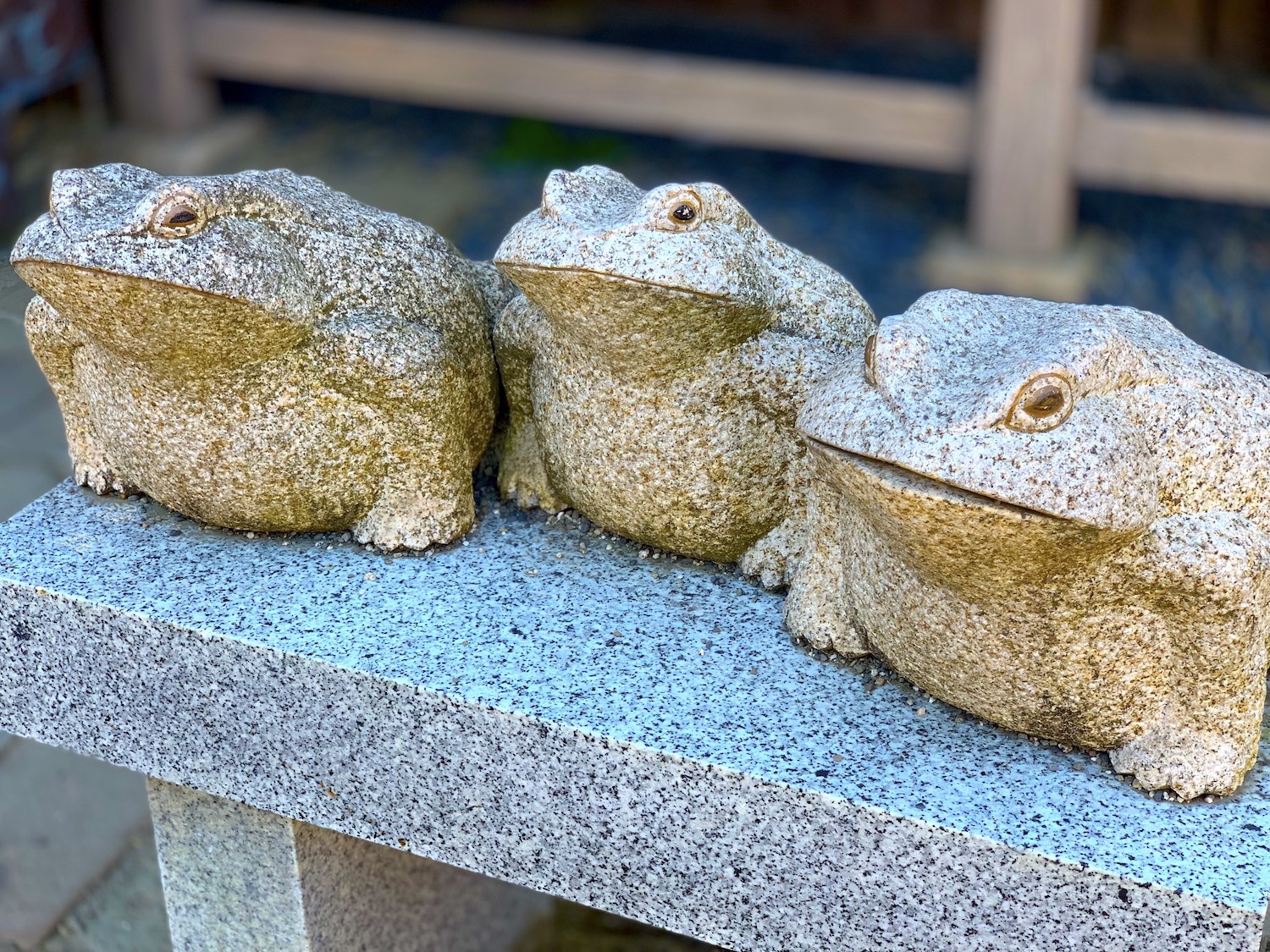 磯前神社の蛙