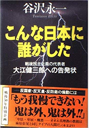 こんな日本に誰がした―戦後民主主義の代表者・大江健三郎への告発状