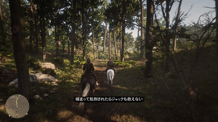 Red Dead Redemption 2-151