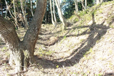 ⑫４端っこ、土塁を横から＠田上山砦跡