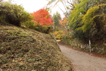 ⑤紅葉シーズンはとてもキレイ＠岩村城跡