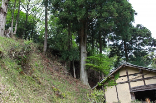 ㉑北に降りられる道あり、城域を見上げる＠上野城跡