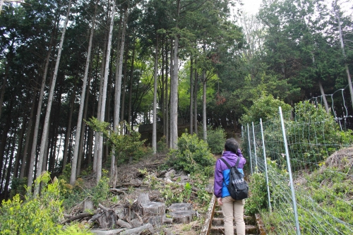 ④傾斜がキツくなる＠上野山城跡