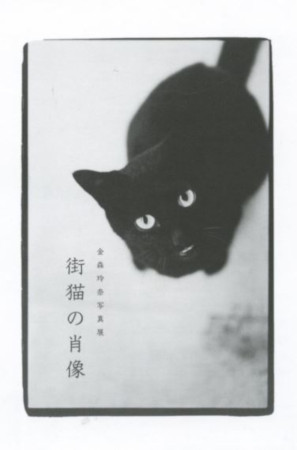 金森玲奈写真展「街猫の肖像」