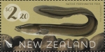 ニュージーランド・鰻（2017）